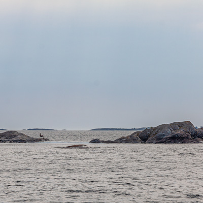 En man ensam på en stol, Sandhamn Stockholms skärgård