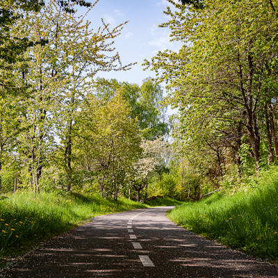 Sommarväg i Skåne